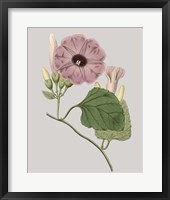 Floral Gems IV Framed Print