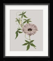 Floral Gems VI Fine Art Print