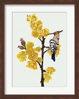 Chimonanthus Praecox II Fine Art Print