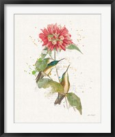 Colorful Hummingbirds I Fine Art Print