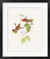 Colorful Hummingbirds II Fine Art Print