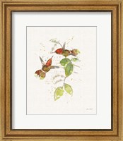 Colorful Hummingbirds II Fine Art Print