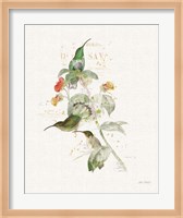 Colorful Hummingbirds III Fine Art Print