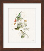 Colorful Hummingbirds III Fine Art Print