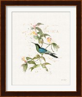 Colorful Hummingbirds IV Fine Art Print