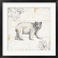 Wild and Beautiful VII Framed Print