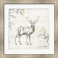 Wild and Beautiful V Fine Art Print