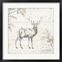 Wild and Beautiful V Framed Print