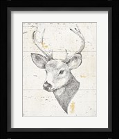 Wild and Beautiful II Fine Art Print
