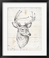 Wild and Beautiful I Fine Art Print