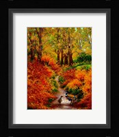 Pheasant Road Framed Print