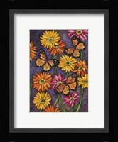 Monarch & Gerba Daisies Fine Art Print