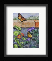 Monarchs, Nasturtiums and Morning Glories Fine Art Print