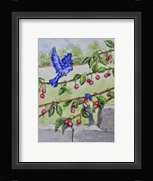 Indigo Bunting and Rainbow Bunting Fine Art Print