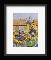 House Sparows with Sunflowers Fine Art Print