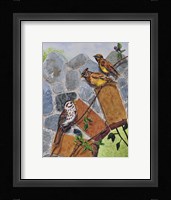 Song Sparrow and Cedar Waxwings Fine Art Print