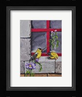 Gold Finches Fine Art Print