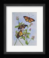 Irish Monarchs Fine Art Print