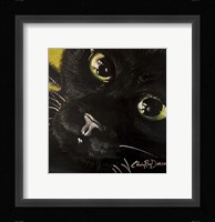 Cat's Eyes Fine Art Print
