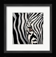 Zebra Face Fine Art Print