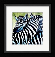 Zebra Love Fine Art Print