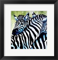 Zebra Love Fine Art Print