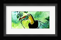 Macaw Fine Art Print
