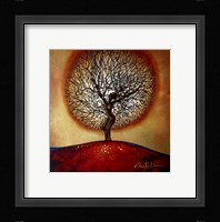 Sun Worshipper Fine Art Print