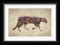 Arizona Mountain Lion Fine Art Print
