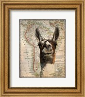South America Llama Map Fine Art Print