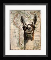 South America Llama Map Framed Print