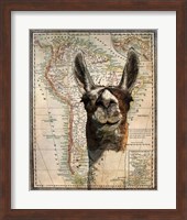 South America Llama Map Fine Art Print