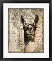 South America Llama Map Framed Print
