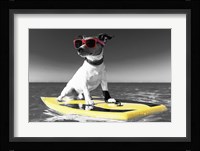 Pop of Color Surf's Up Dog Fine Art Print