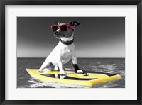 Pop of Color Surf's Up Dog Fine Art Print