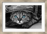 Pop of Color Kitten Fine Art Print