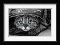 Pop of Color Kitten Fine Art Print
