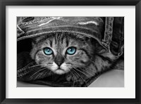 Pop of Color Kitten Framed Print