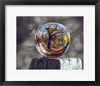 Pop of Color Glass Sphere Fine Art Print