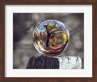 Pop of Color Glass Sphere Fine Art Print