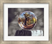 Pop of Color Glass Sphere Fine Art Print