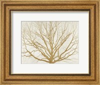 Golden Tree Fine Art Print
