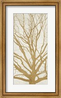 Golden Tree II Fine Art Print