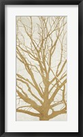 Golden Tree II Fine Art Print