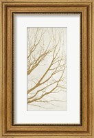 Golden Tree III Fine Art Print