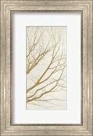 Golden Tree III Fine Art Print