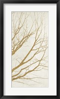 Golden Tree III Framed Print
