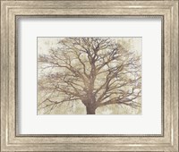 Sacred Oak Fine Art Print