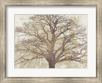 Sacred Oak Fine Art Print