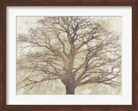 Sacred Oak Fine Art Print